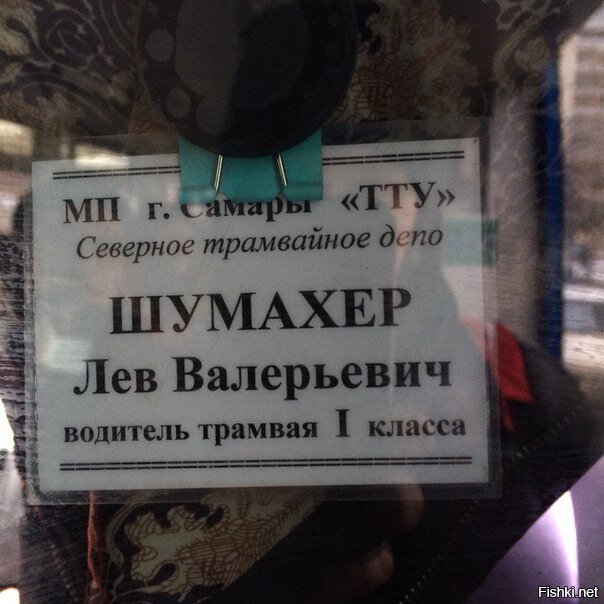 Из солянки