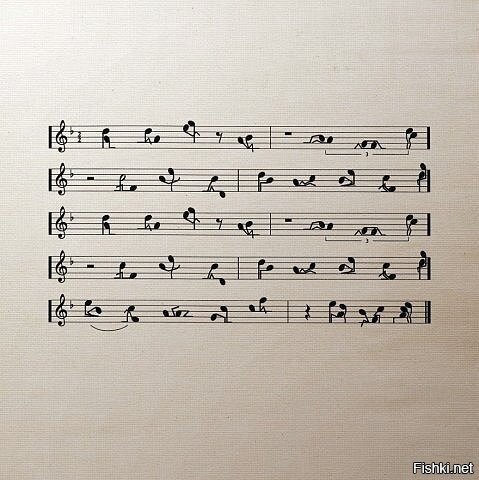 Из солянки