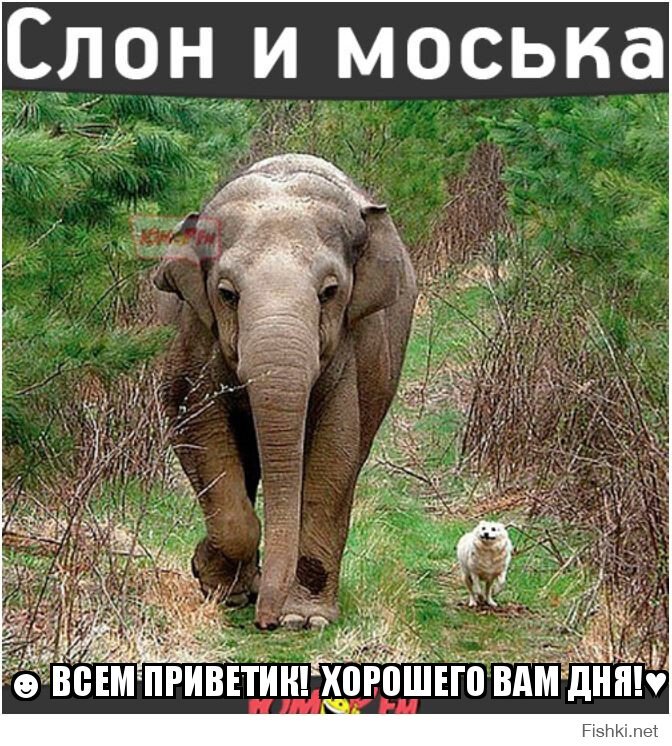 ☻ ВСЕМ ПРИВЕТИК!  ХОРОШЕГО ВАМ ДНЯ!♥