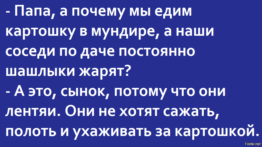 Из солянки