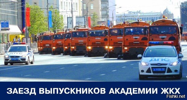 Из солянки