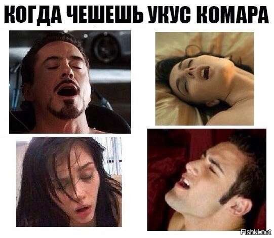 Из солянки
