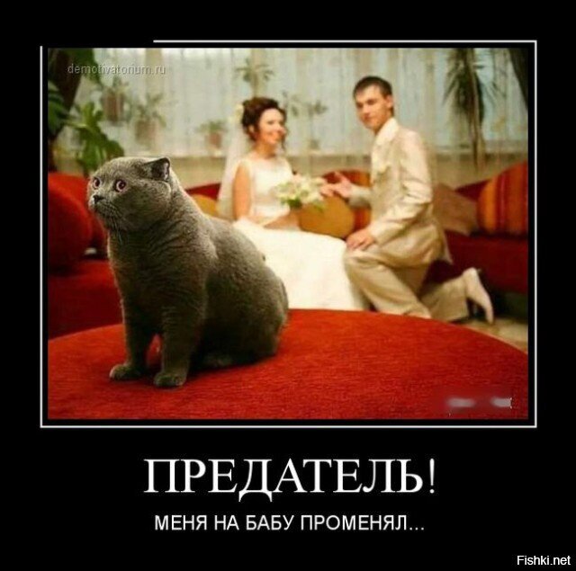Из солянки