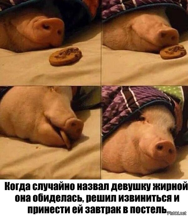 Из солянки