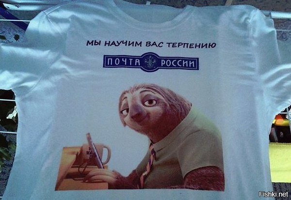 Из солянки