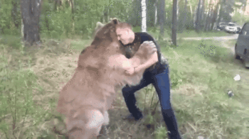 Не каждый решится обняться с медведем