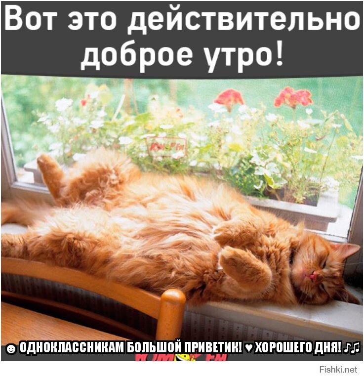 ☻ ОДНОКЛАССНИКАМ БОЛЬШОЙ ПРИВЕТИК! ♥ ХОРОШЕГО ДНЯ! ♪♫