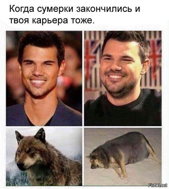 Из солянки