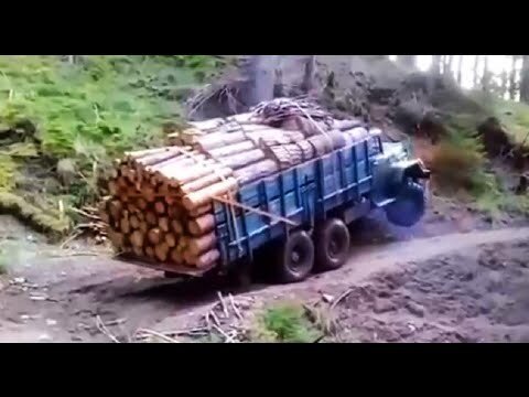 На дыбы