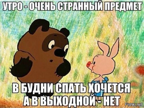 Из солянки