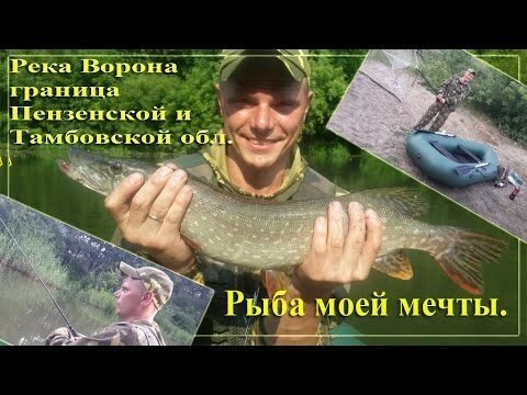 Река Ворона, Рыба моей мечты, разведка, минисплав