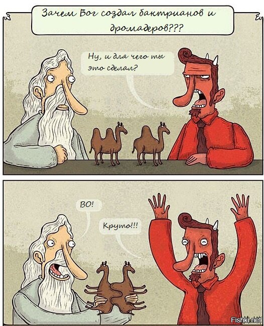 Зачем нужны верблюды 