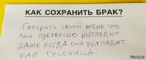 Из солянки