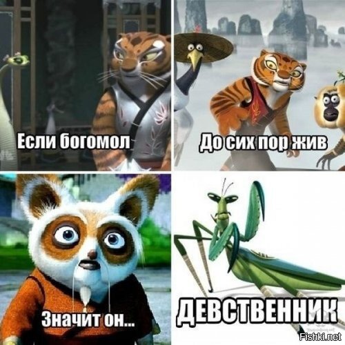 Из солянки