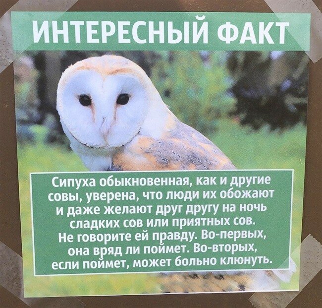 Приколы о животных!