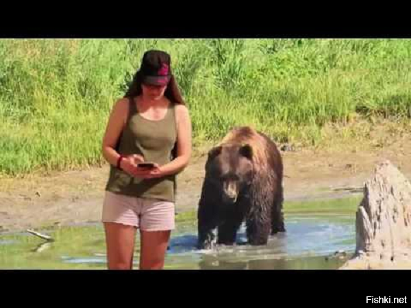 5-я сегодня, уже не лезет