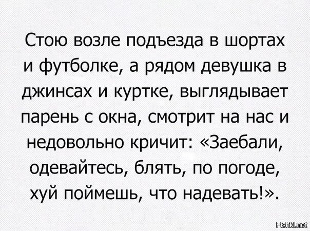 Из солянки
