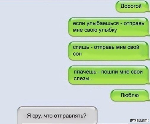 Из солянки