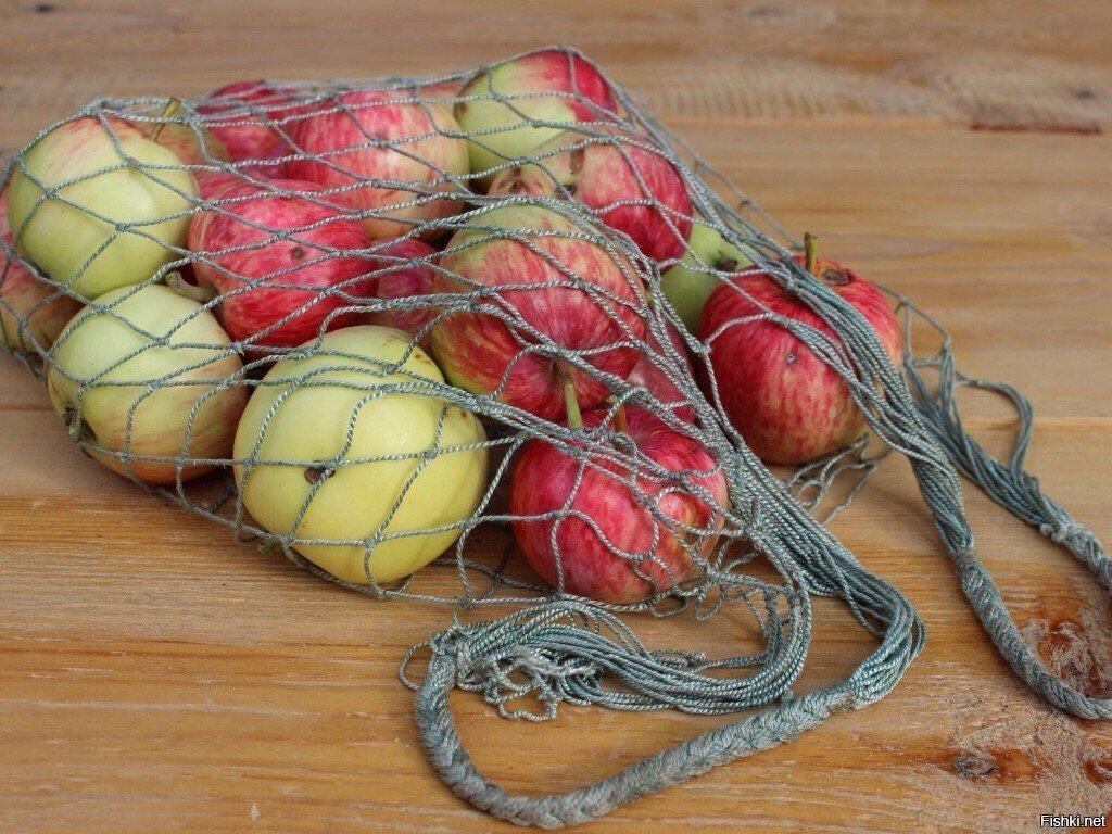 Из солянки