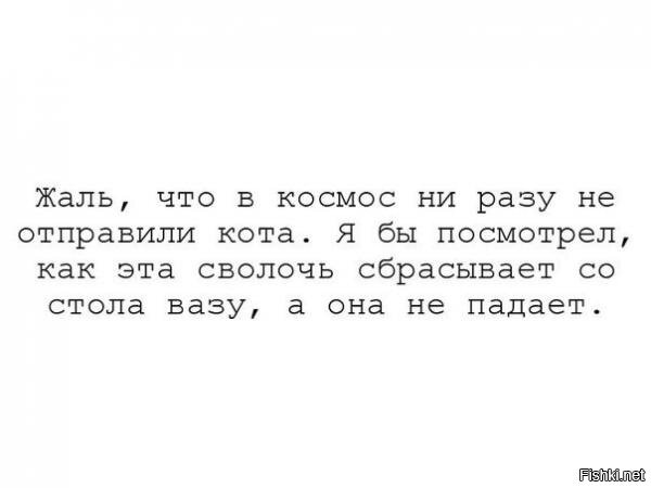 Из солянки