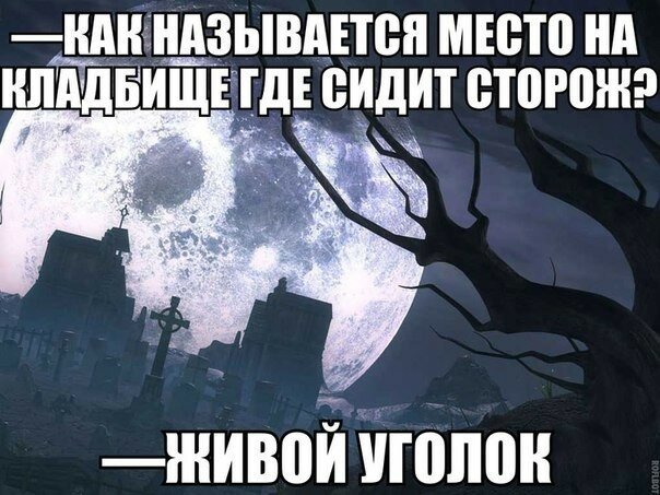 Подборка смешных приколов