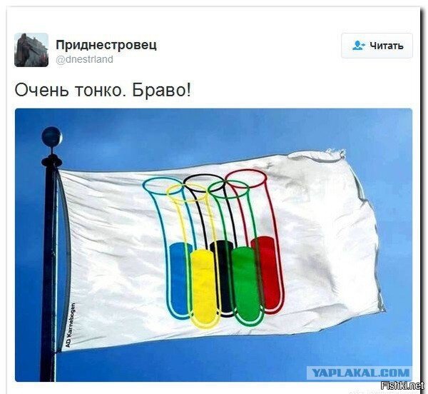 Из солянки