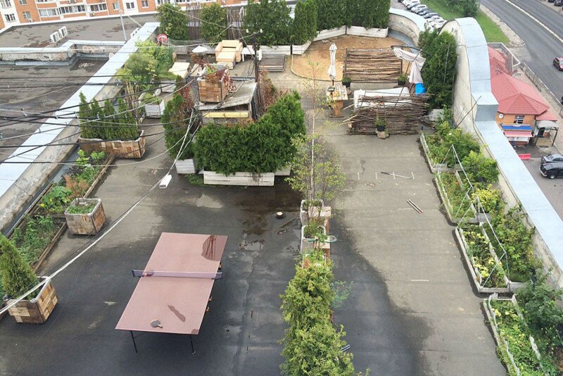 Житель Подмосковья устроил на крыше дома релакс-зону с бассейном, лежаками и деревьями