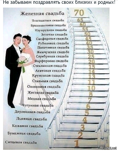 Из солянки