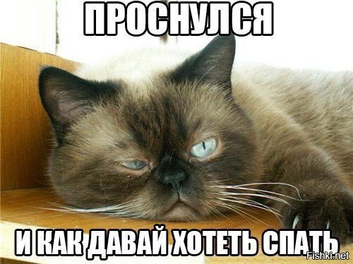 Доброе утро, соляне