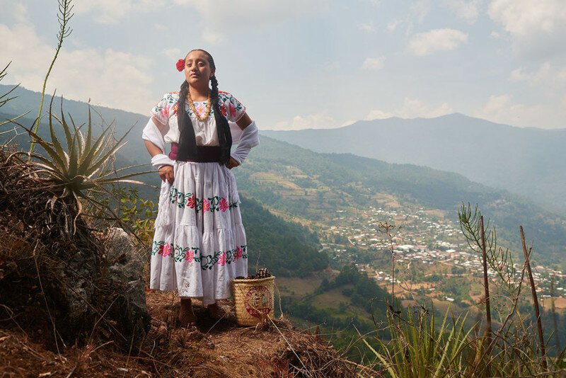 Коренные народы Мексики в ослепительных костюмах