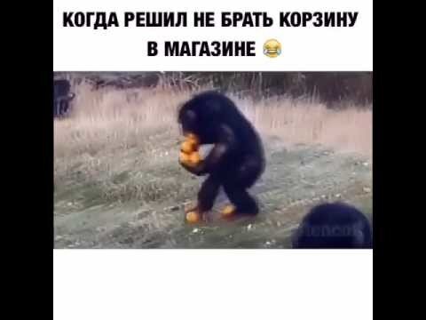 Из солянки