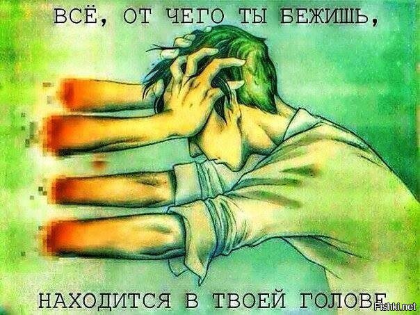 Из солянки