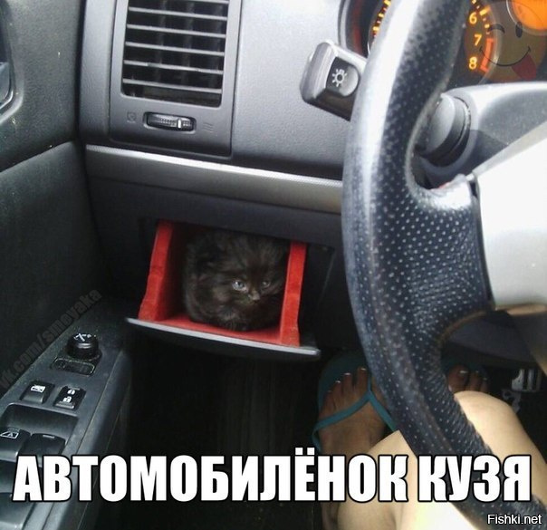 Из солянки
