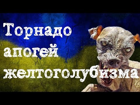 Гей, «Торнадо» или апогей желтоголубизма