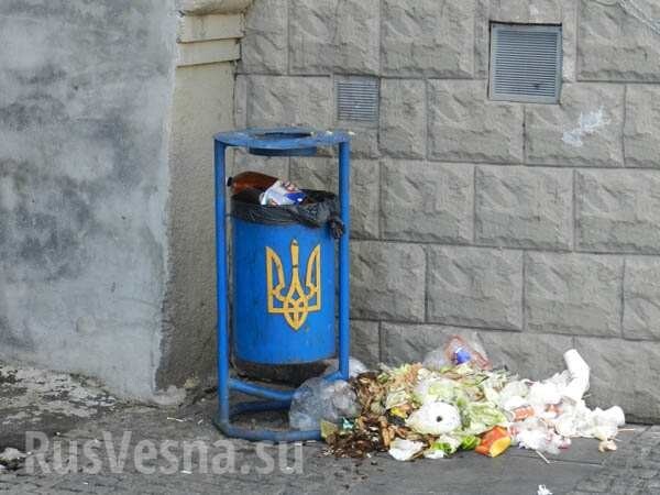 В Днепропетровске появились «патриотические» урны