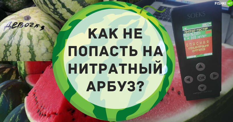 Не хочешь загреметь в больницу - узнай, как определить нитратный арбуз!