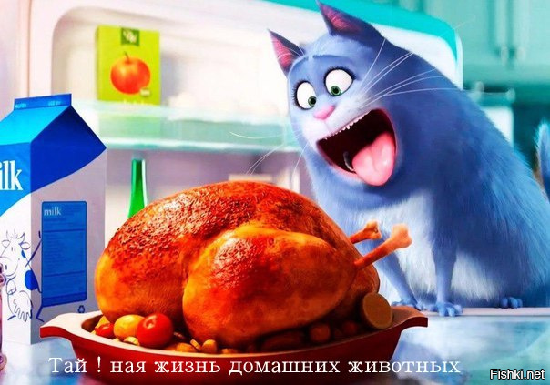 Из солянки