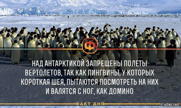 И что в этом плохого