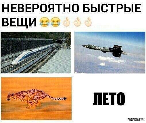 Из солянки