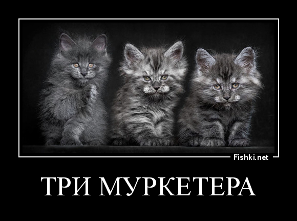 три муркетера