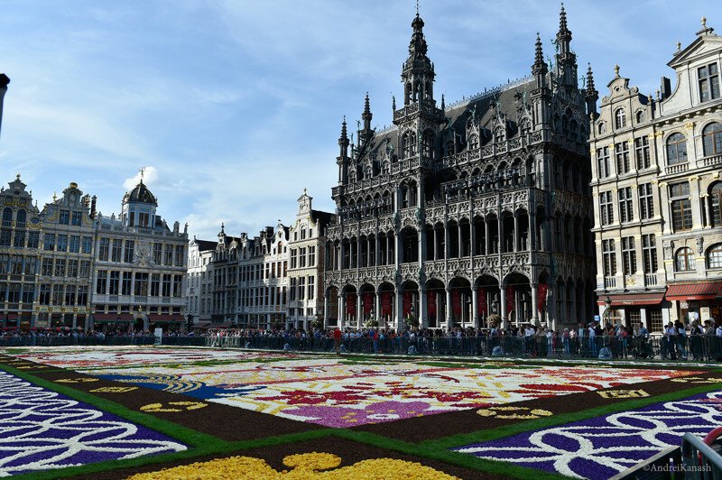 Юбилейный 20-ый цветочный ковер в Брюсселе