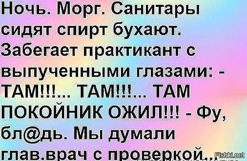 Из солянки