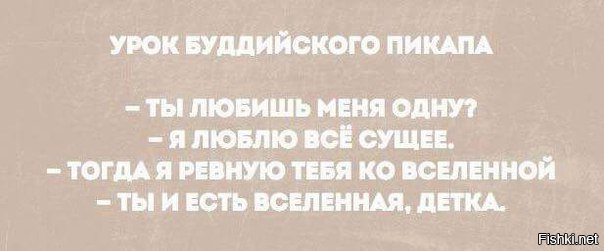 Из солянки