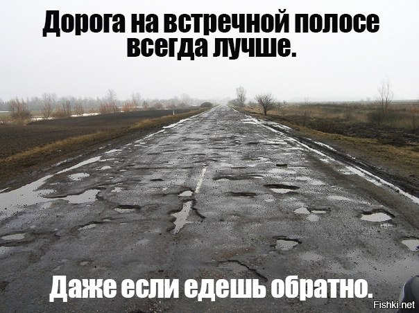 Из солянки