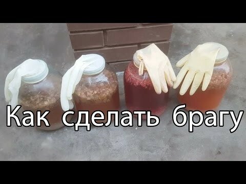 Брага домашняя