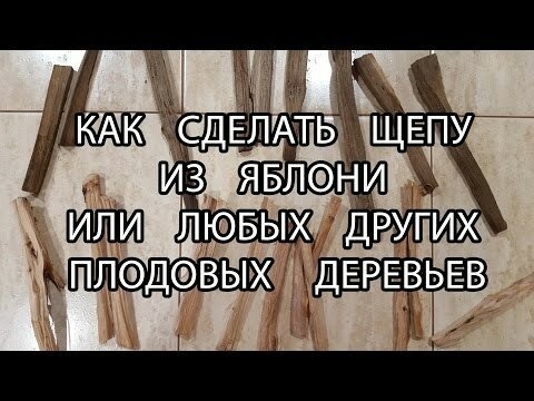 Как правильно заготовить яблочную щепу