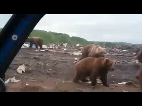 Заглянем на свалку в Ивашке