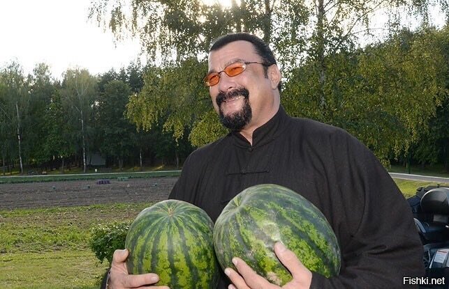 Из солянки