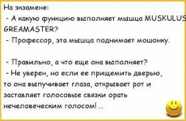 После того, что ВУЗ сделал с моим мозгом, он должен на нём жениться