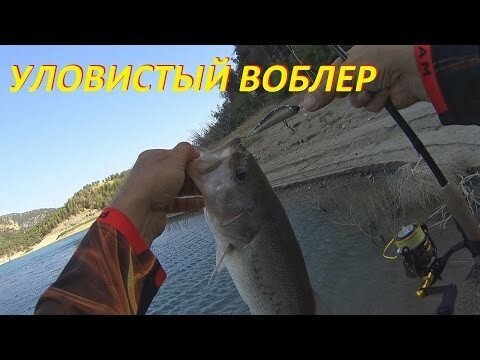 Самый уловистый воблер от Yo-Zuri